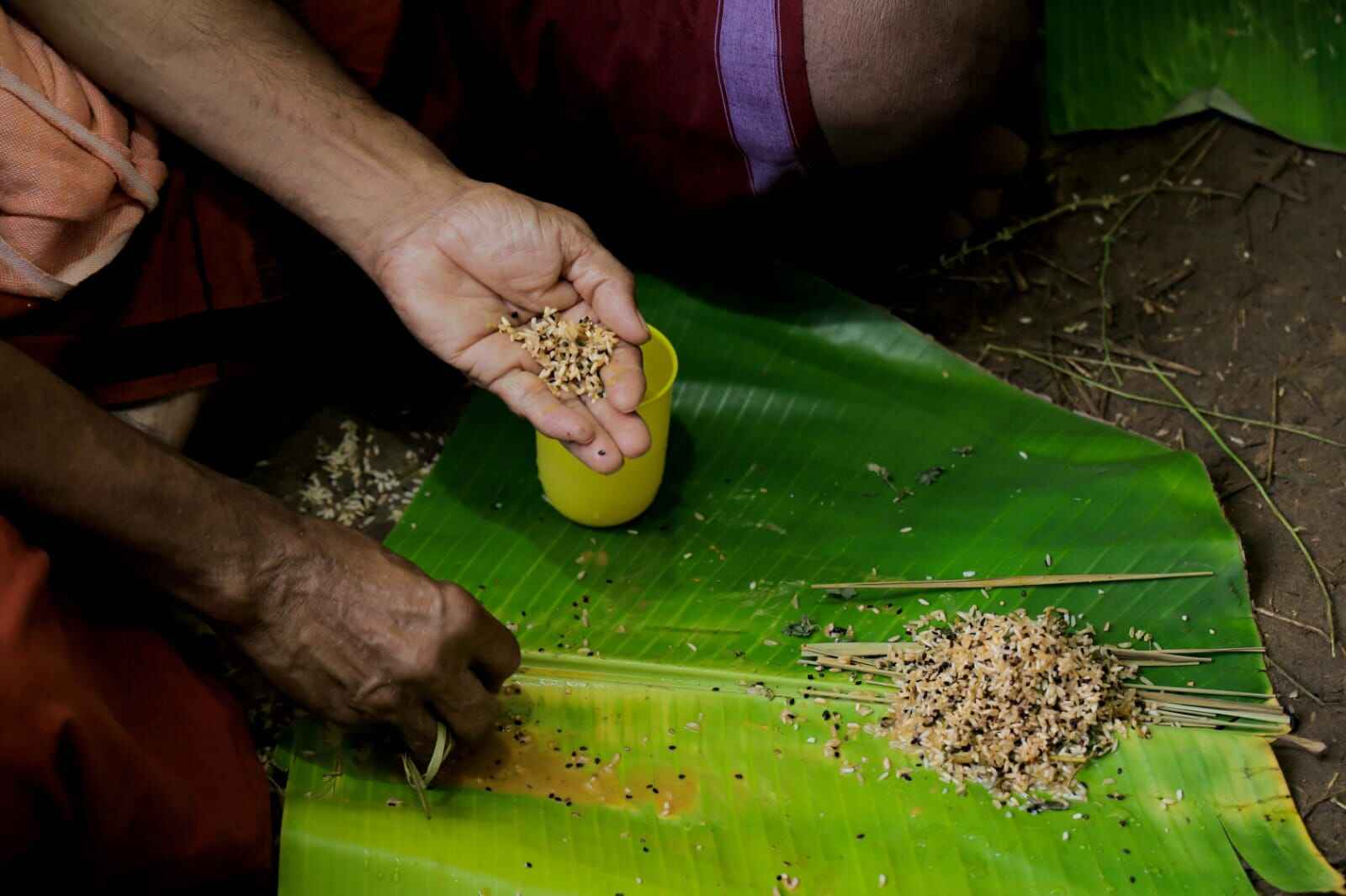 cremation service.jpeg